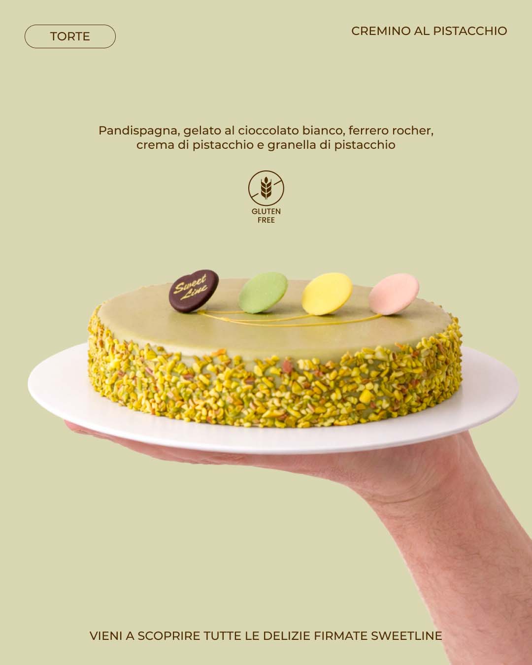 grafiche-sweet-line
