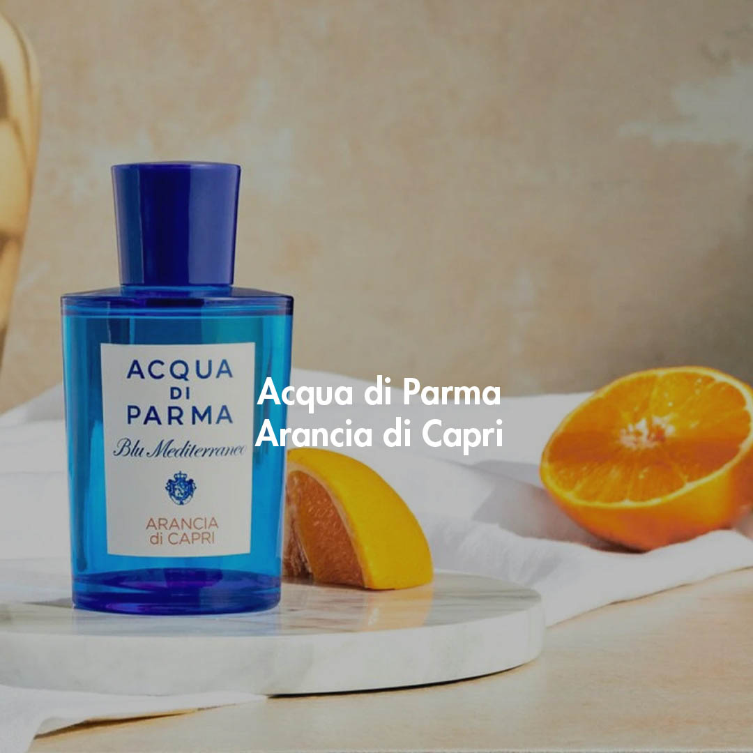 seo-profumeria-ottica-rossini